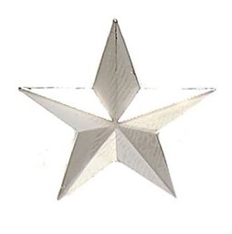 Bild von 1 Sterne Brigadier General US Army Uniformabzeichen Kragenabzeichen
